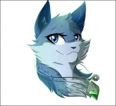 Quelle fonction aimerais-tu avoir au sein de ton clan ?