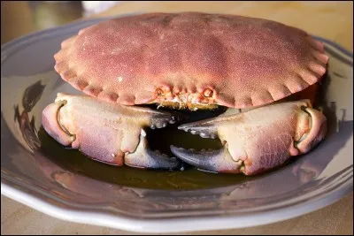 Que mesure l'échelle d'Epworth ?