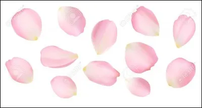 Qui est mort dans des pétales de fleur ?