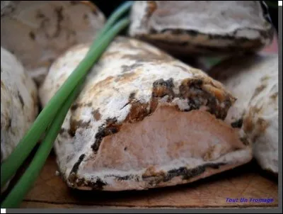 Quel est ce fromage ?