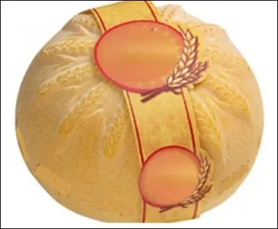 Quel est ce fromage ?