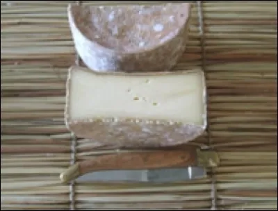 Quel est ce fromage ?