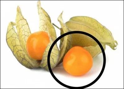 Quel est ce fruit ?