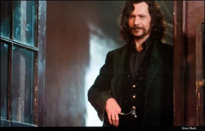 Tu veux devenir Auror, mais pour cela, il faut être marié ou avoir un petit copain... Or, ton mec est un cracmol ou sang-de-bourbe ! Tu as honte :