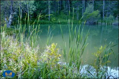La Havane est la plus grande ville des Caraïbes.
