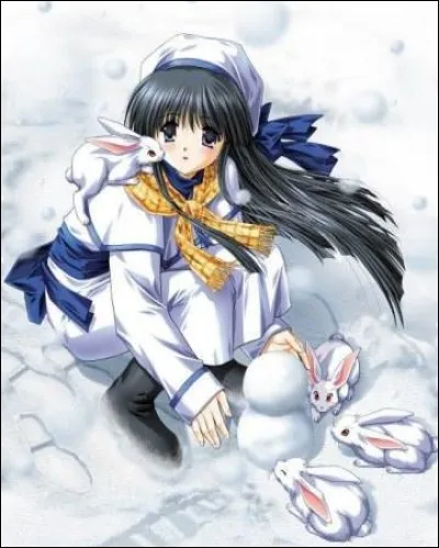 Ta couleur préférée est...