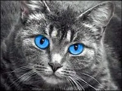 Je suis le fils ou la fille d'une personne morte dans "Avant la Temp&ecirc;te". Qui suis-je ?