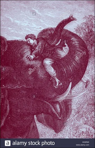 Dans quel titre de roman de Jules Verne peut-on lire le nombre quatre-vingts ?
