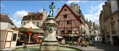 Quelle est la superficie de la ville Dijon ?