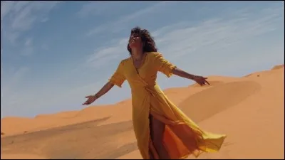 Tal a uriné lors d'un de ses concerts de novembre 2017.