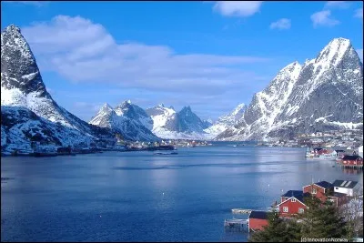 Laquelle de ces couleurs ne se trouve pas sur le drapeau de la Norvège ?