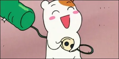Le Hamster Ebichu dans l'anime du même nom est :