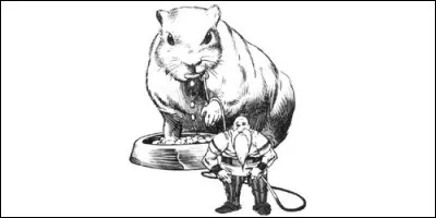 Les "hamsters géants de l'espace" sont des animaux de la taille d'un ours qui apparaissent dans le décor de campagne du jeu de rôle :