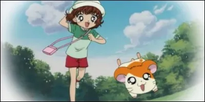 A qui appartient Hamtaro dans l'anime du même nom ?