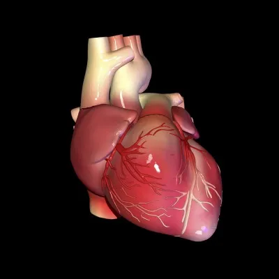 Quelle maladie désigne une inflammation ou infection de l'enveloppe et structure interne du cur ?