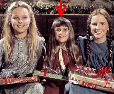 Quels enfants construiront un igloo lorsqu'ils seront pris dans un blizzard ?