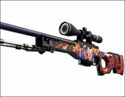 Quel est ce skin d'AWP ?