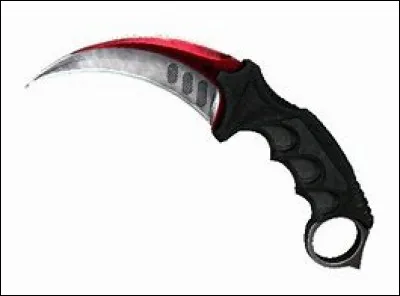 Quel est ce skin de Karambit ?