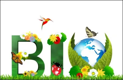 Que doit préciser l'étiquette d'un bon vinaigre de cidre en outre des mentions : "biologique" et "non pasteurisé" ?