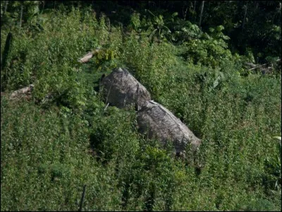 Combien d'indigènes décompte-t-on approximativement en 2018 dans la vale do Javari, au Brésil ?