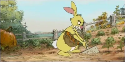 Où vit Coco Lapin dans "Les Aventures de Winnie l'ourson" ?