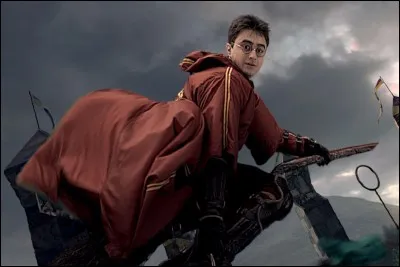 Quel est le rôle de Harry au quidditch ?