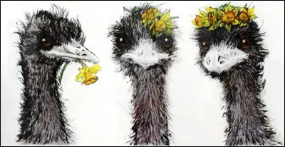 Ce délicieux dessin fait penser à une délicieuse tragi-comédie au coeur de l'Australie. Laquelle ?