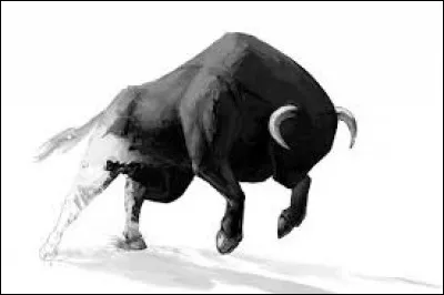 Quel sportif espagnol surnomme-t-on le "Taureau de Manacor" ?