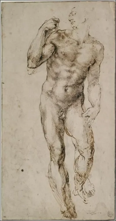 Quel chanteur 'accordéoniste' interprète 'Un homme debout' ?