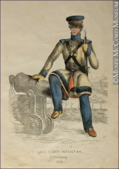 À la veille des premières escarmouches, les troupes régulières britanniques sont composées de 3 000 hommes. Colborne pressent les dangers au Bas-Canada et entreprend de renforcer sa garnison.
Ainsi, à l'été 1838, l'armée britannique est composée de 5 000 hommes dans le Bas-Canada et de 3 000 dans le Haut-Canada et est appelée :