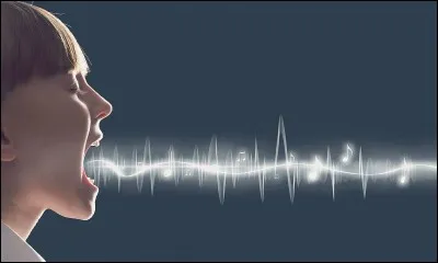 Quel est le singulier de "voices" ?