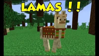 Lors de quelle version le lama est-il apparu ?