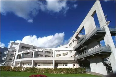Quelles sont les activités de l'hôpital Jeanne de Flandre ?