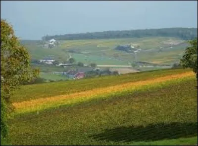 Le mot suivant s'&eacute;crit ...