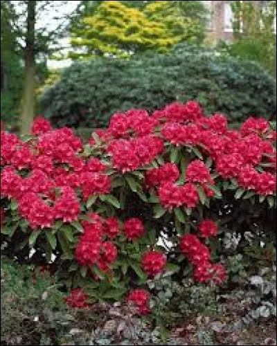 Que voyez-vous sur cette image ?