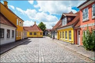 Où se situe la ville d'Odense ?