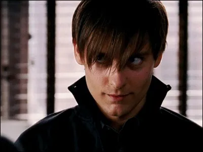 Qui est l'acteur qui joue Spiderman ?