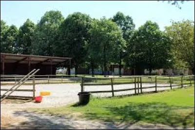 Quel est le nom de l'endroit où tu as cours l'été ? Endroit ouvert.