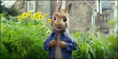 Quel est le titre de ce film sorti en 2018 ?