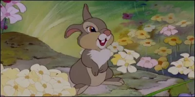 Comment se nomme le lapin dans "Bambi" ?