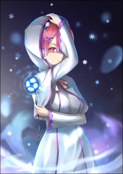 Ram - L'ogresse rose à la langue bien pendue, très protectrice avec sa sur ! Pendant le deuxième arc, que dit-elle à Subaru lorsque Rem meurt ?