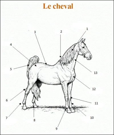 Quel est le nom de la partie n°2 ?