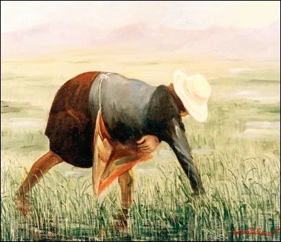 Quelle chanson populaire représente le travail de la "mondina", ouvrière saisonnière des rizières des plaines padane et venete en Italie ?