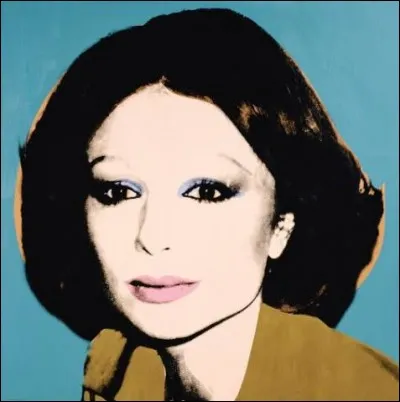 Observez bien cette illustration ! Grâce à cette oeuvre de Andy Warhol, vous regarderez une série TV, laquelle...