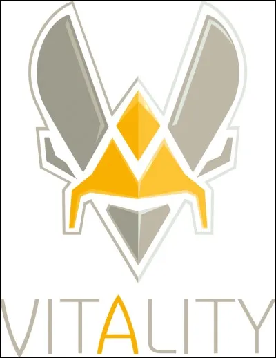 Quel est le line-up historique de Vitality sur COD ?