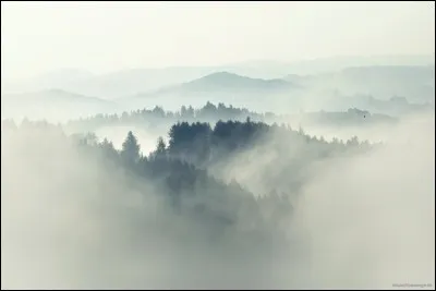Après un petit moment, vous voilà enfin devant la grotte de l'Ours ! Vous regardez autour de vous, personne... Mais cette ambiance sinistre et silencieuse ne vous dit rien qui vaille... Peut-être faudrait-il abandonner... ?