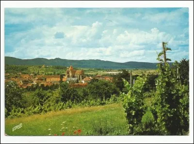 Puis dans le Bas-Rhin, voir l'une des plus jolies églises d'Alsace, à...