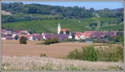 Nous sommes dans le Bas-Rhin, à Rott. Village du parc naturel régional des Vosges du Nord, dans la région naturelle de l'Outre-Forêt, il se situe dans l'ancienne région ...