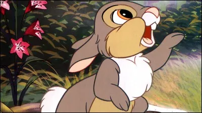 Comment s'appelle le lapin dans "Bambi" ?