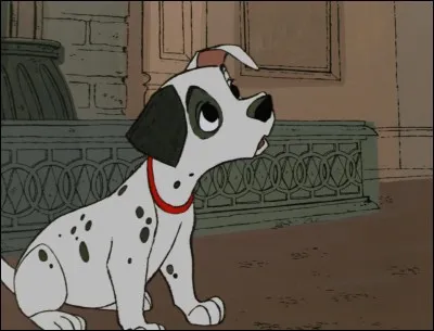 Comment s'appelle ce chien ?